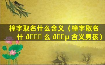 橦字取名什么含义（橦字取名什 🐎 么 🐵 含义男孩）